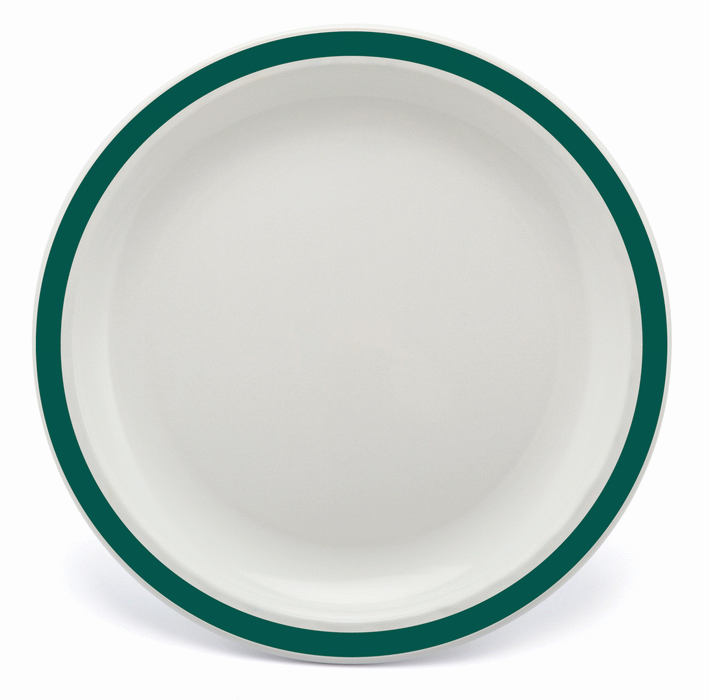 Large Reusable Plastic Round Plate Solid Colour Rim 23cm - Polycarbonate
