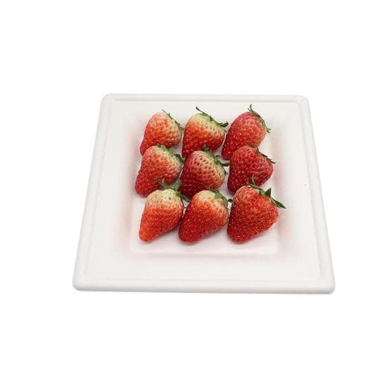 White Compostable Square Side Plate 200mm  - Reed Pulp