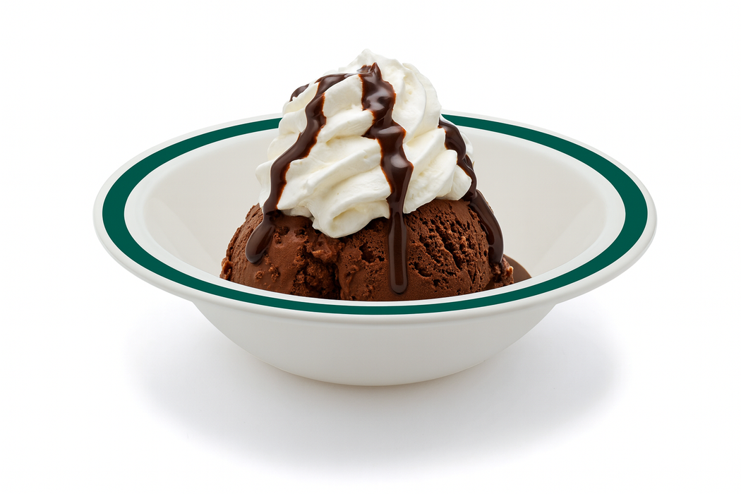 Reusable Plastic Round Bowl Solid Colour Rim 170mm