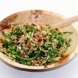 Compostable Round Plate 240mm