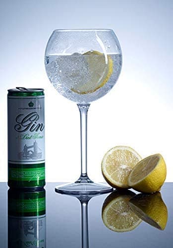 Clear Reusable Plastic Premium Gin Glass 650ml