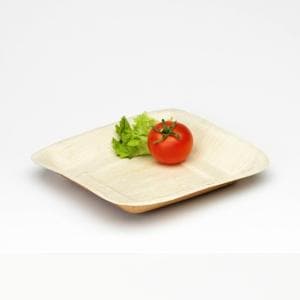 Compostable Square Plate 240mm - Palm Leaf