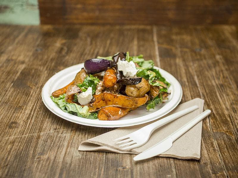 White Compostable Bagasse Dinner Plate 260mm