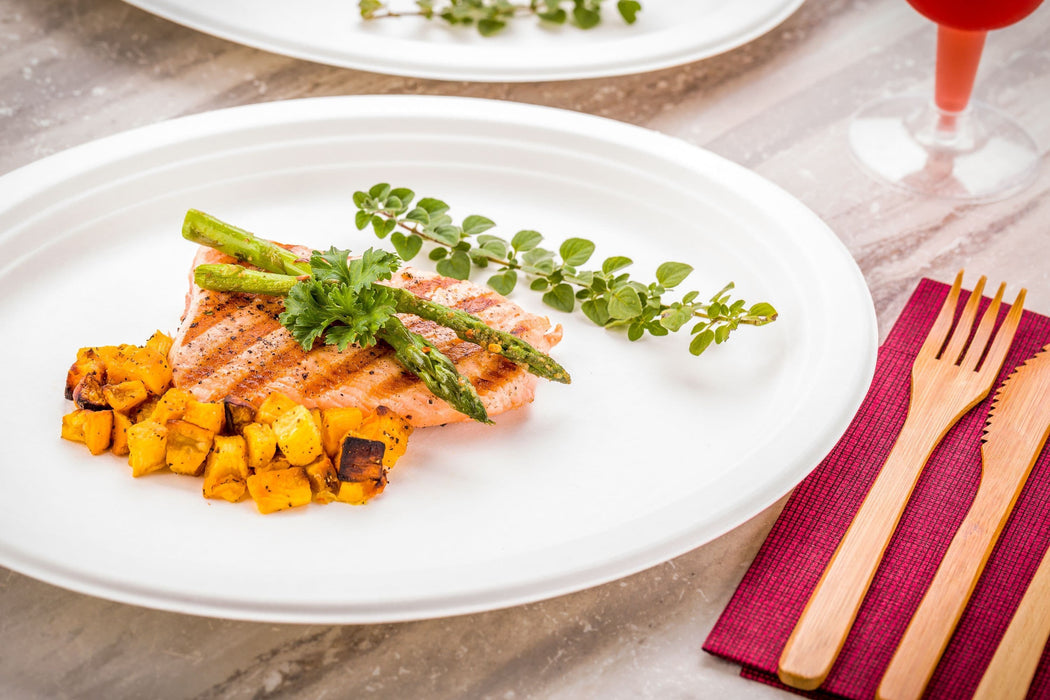 White Compostable Bagasse Dinner Plate 260mm
