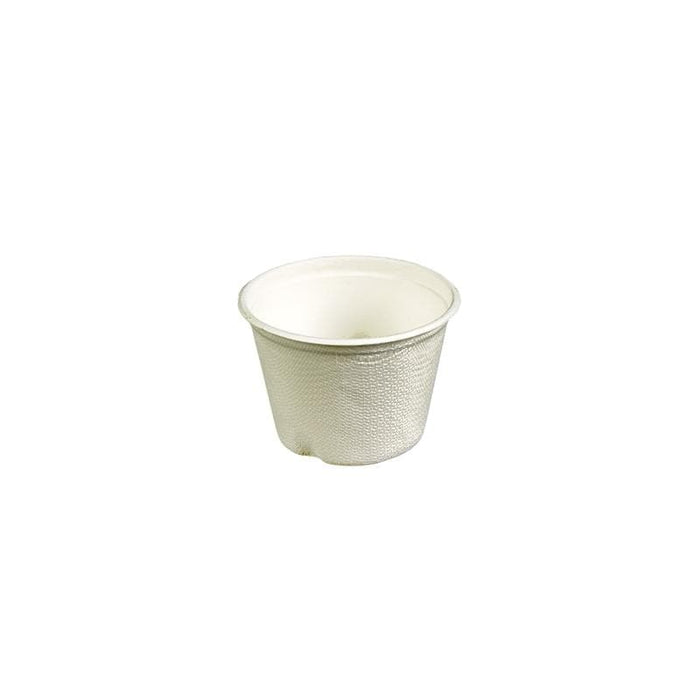 White Compostable Sample Pot 120ml - Reed Pulp