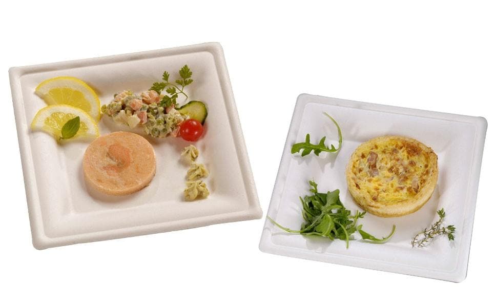 White Compostable Square Dinner Plate 260mm